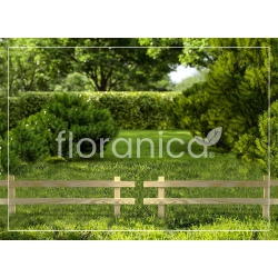 Płotek Farmer 20x100 - impregnowane ogrodzenie z drewna sosnowego wysokość 20cm długość 100cm