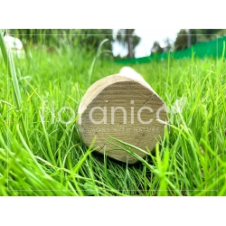 Słupek ogrodzeniowy z leszczyny. Impregnowany pal drewniany okrągły, grubość 8 cm