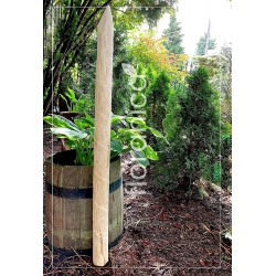 Słupek ogrodzeniowy z leszczyny. Impregnowany pal drewniany okrągły, grubość 8 cm