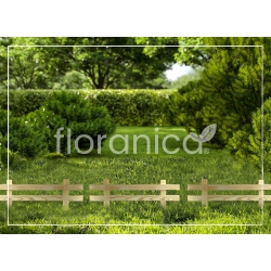 4x Płotek Farmer 20x50 - impregnowane ogrodzenie z drewna sosnowego wysokość 20cm długość 50cm