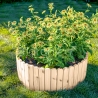 Floranica Rollborder elastyczny drewniany płot - 200 x 30 cm - Obrzeża rabat, trawnika, dekoracja, ogrodzenie sadów, ścieżek